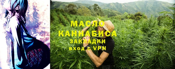 метадон Елизово