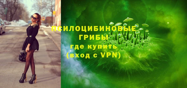 метадон Елизово