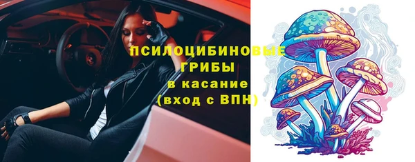 метадон Елизово