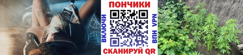 Конопля OG Kush  Купить  Славск 